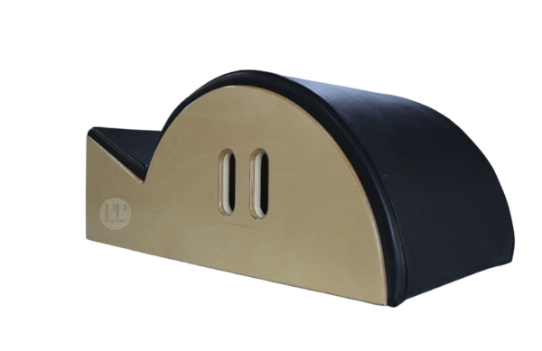 SPINE CORRECTOR